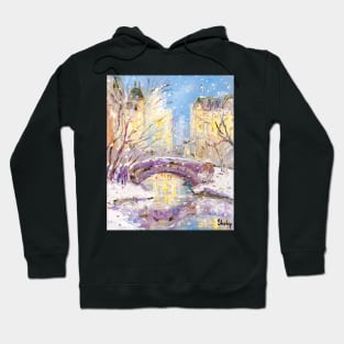 Winter in Central Park. New York Hoodie